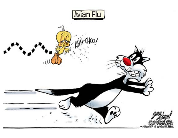 avian flu