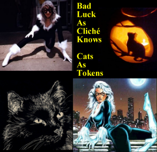 black cat