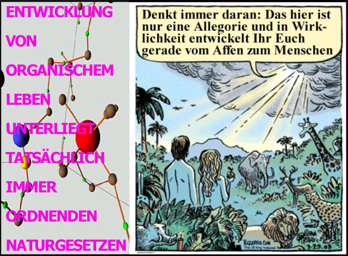 evolution