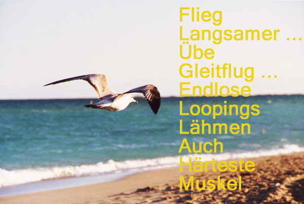 flügellahml