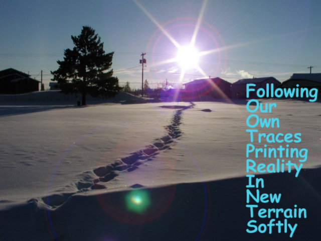 footprints in the snow