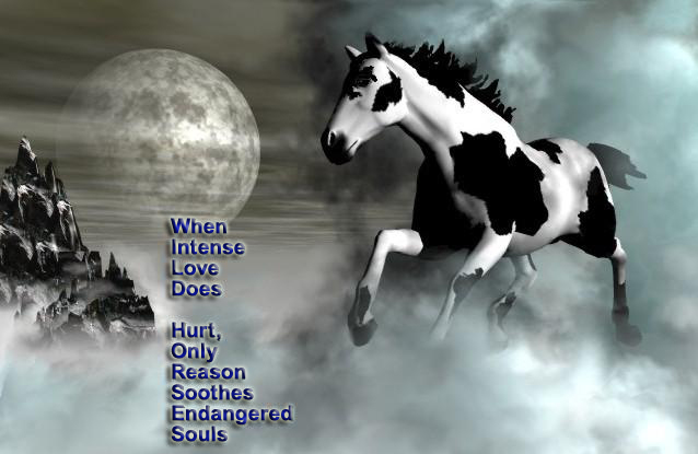wild horses